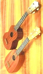 Two Ukulules